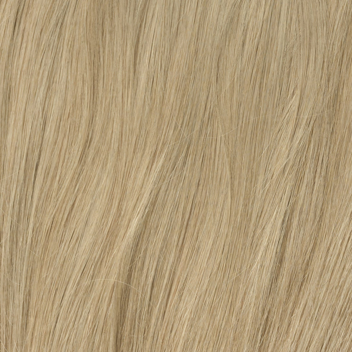 Ponytail - Dark Ash Blonde 14B