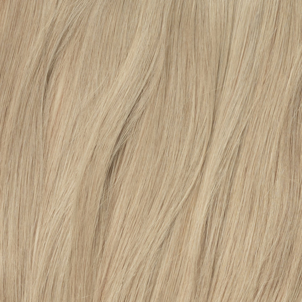 Ponytail - Beige Blonde 16B