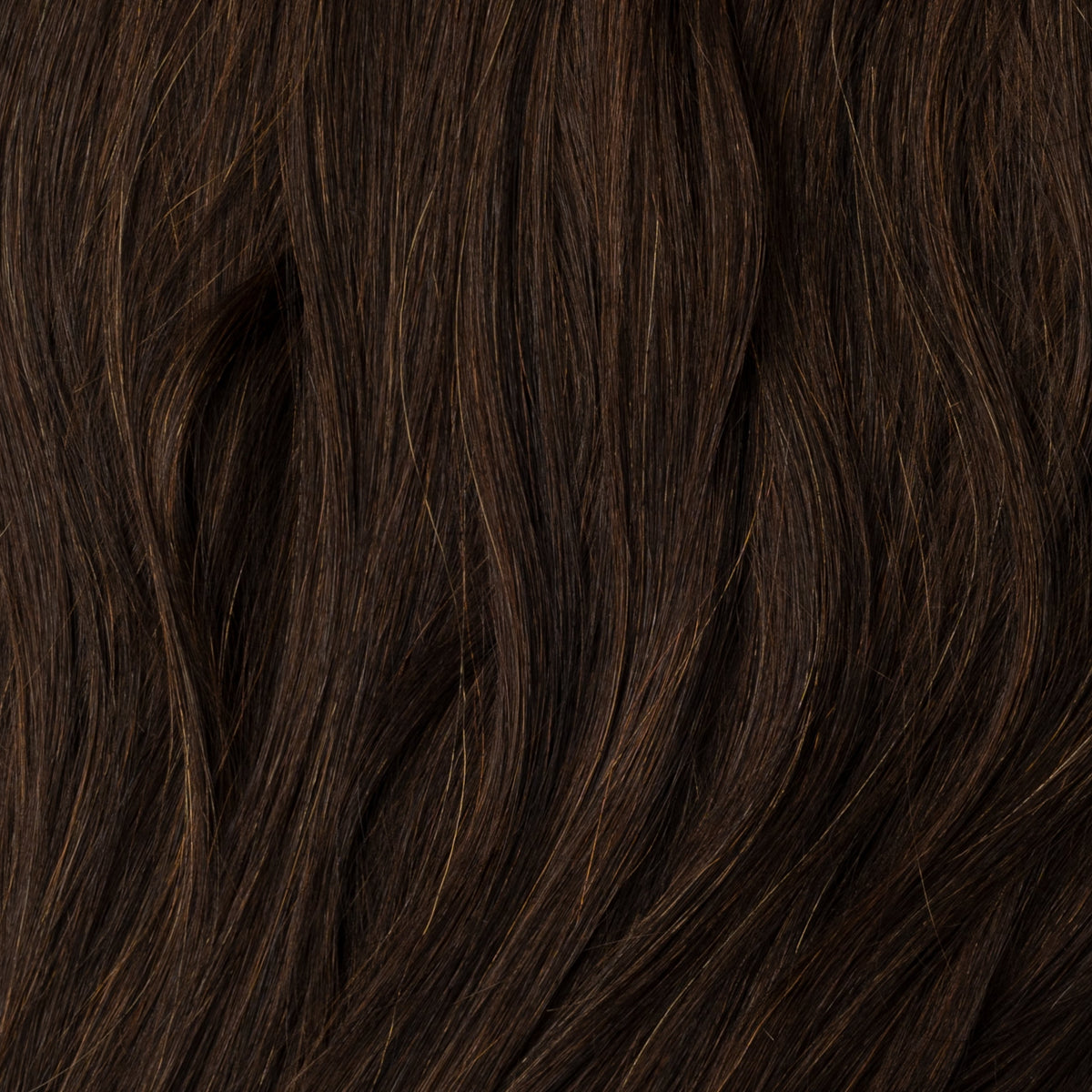 Micro ring extensions - Dark Chocolate Brown 1B