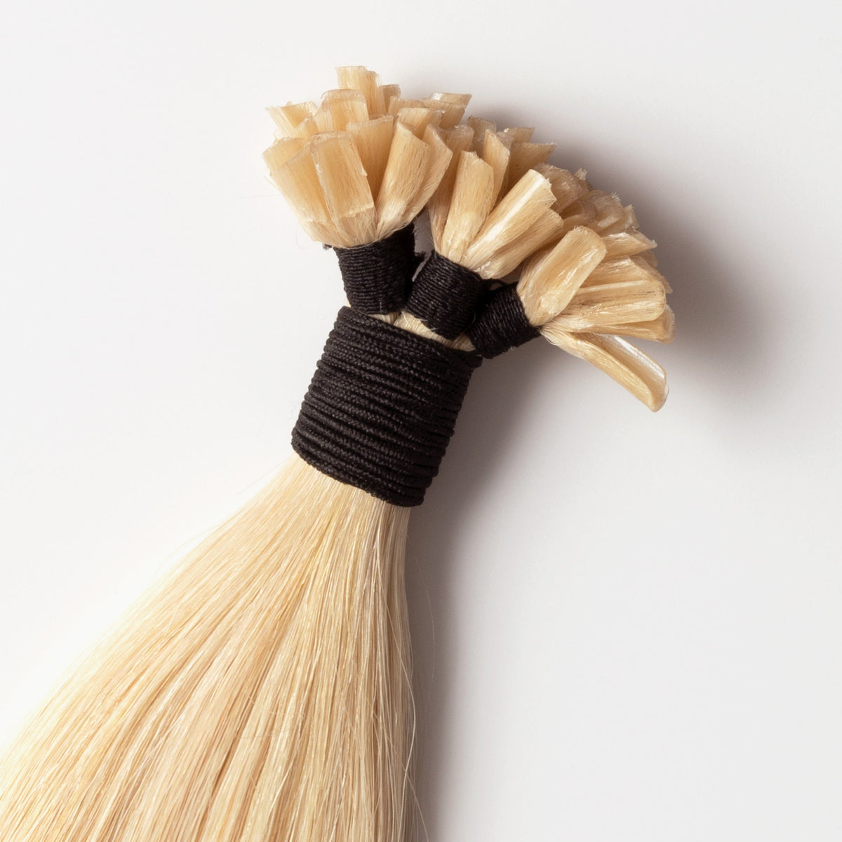 Keratin extensions - Light Honey Blonde 22