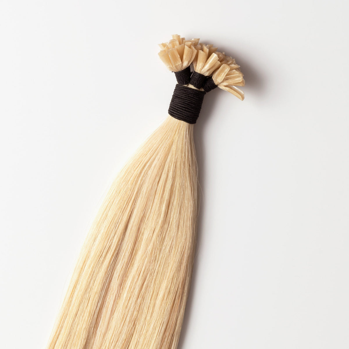Keratin extensions - Light Honey Blonde 22