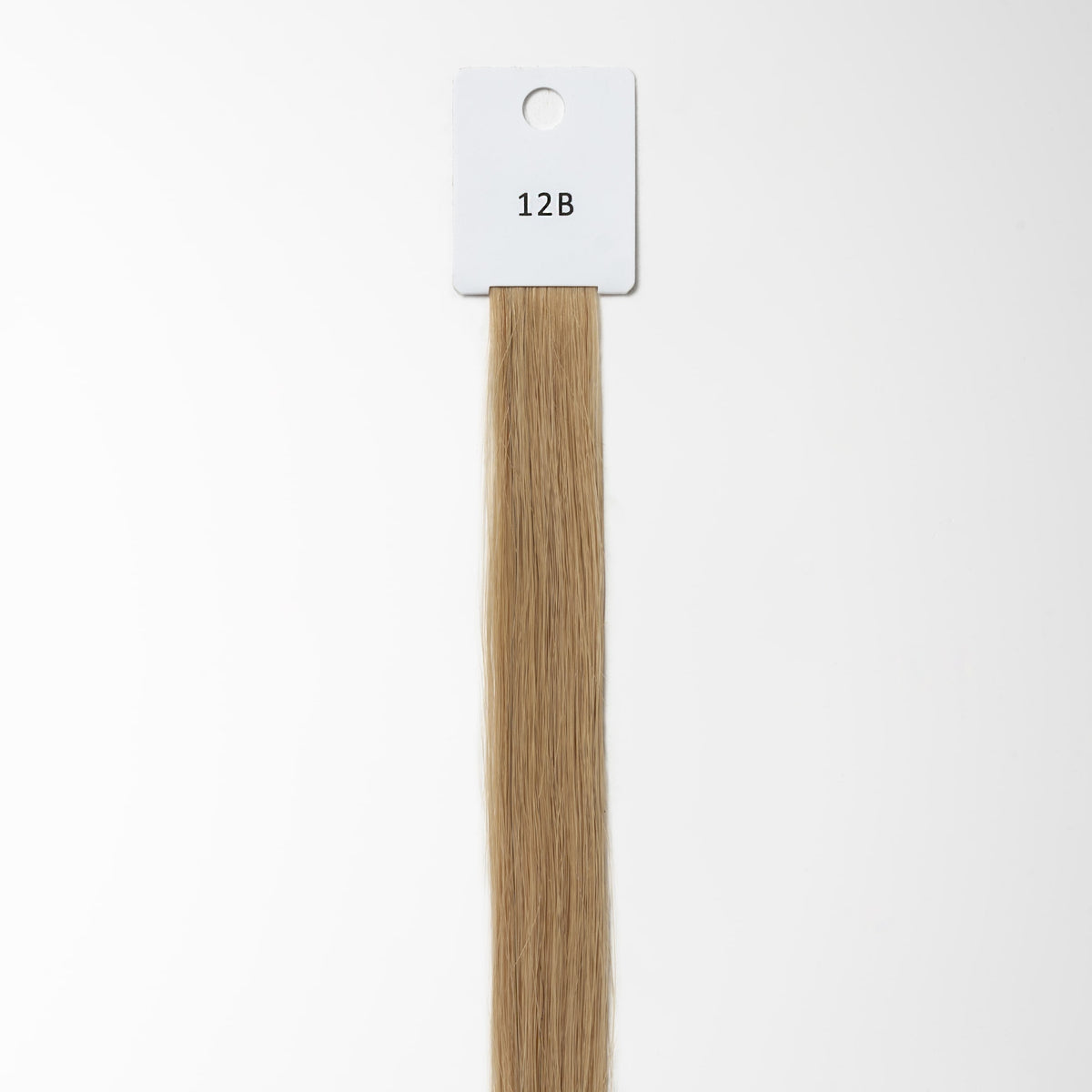 Color sample - Dark Beige Blonde 12B