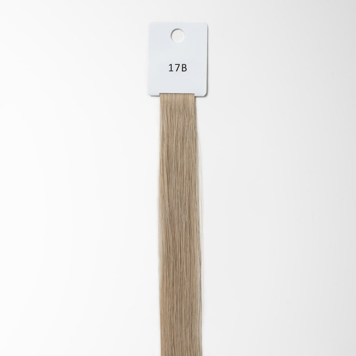 Color sample - Ash Blonde 17B