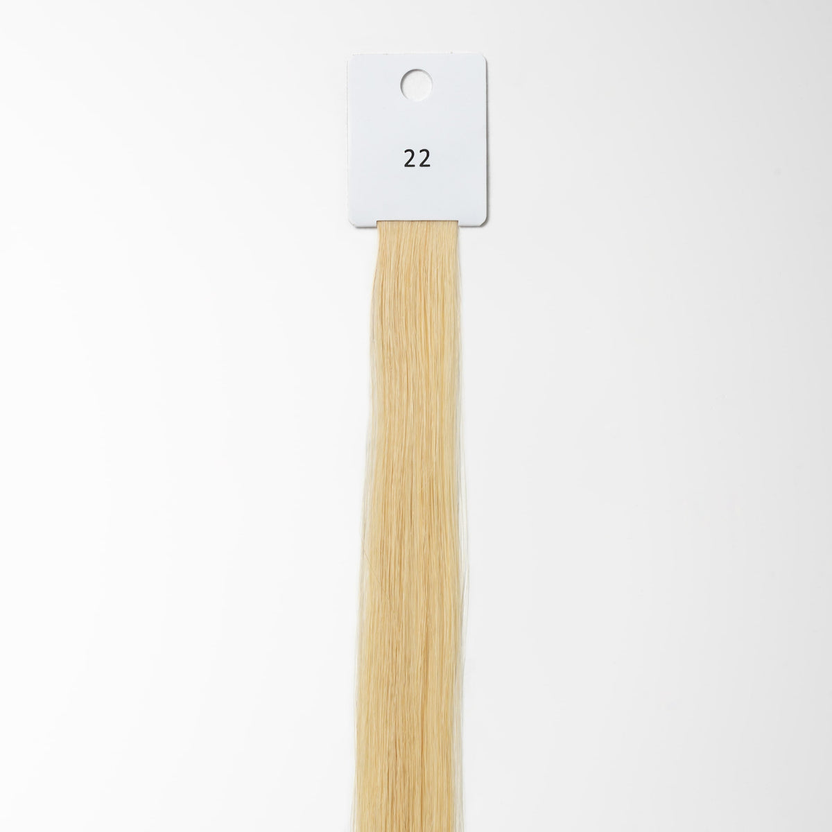 Color sample - Light Honey Blonde 22