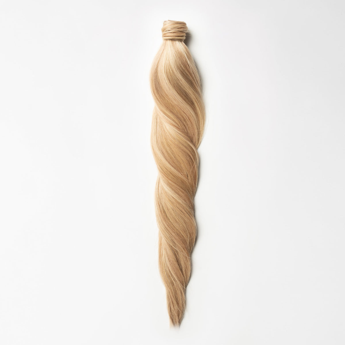 Ponytail - Honey Blonde Mix 10/22